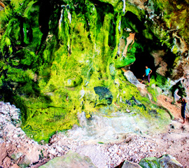 Koh Phee (Ghost Island)