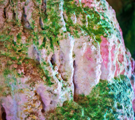 Koh Phee (Ghost Island)