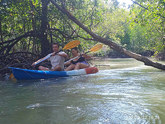 Kayak Mangroves